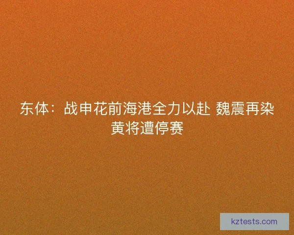东体：战申花前海港全力以赴 魏震再染黄将遭停赛